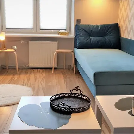 Centrum Park Ul Waszyngtona Apartamento Częstochowa